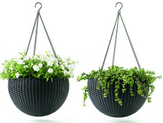 plantes tecnocampus