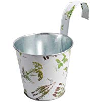plantes tecnocampus