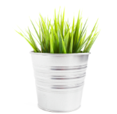 plantes tecnocampus