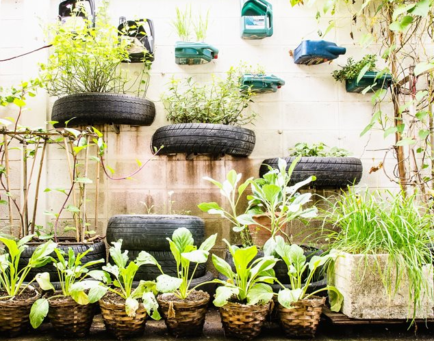 plantes tecnocampus