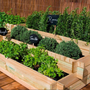 plantes tecnocampus
