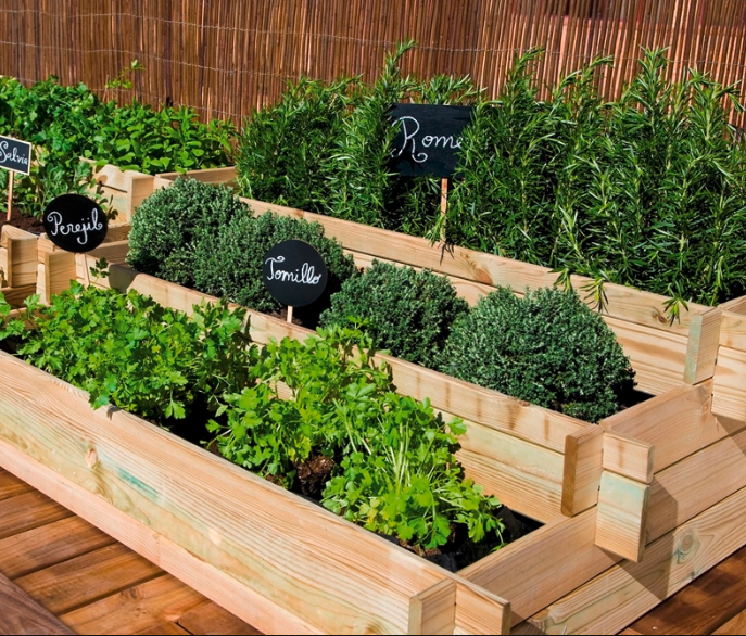 plantes tecnocampus