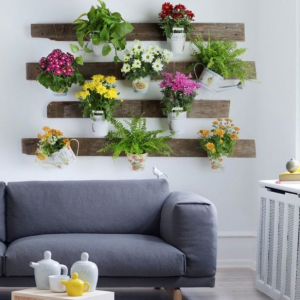 plantes tecnocampus