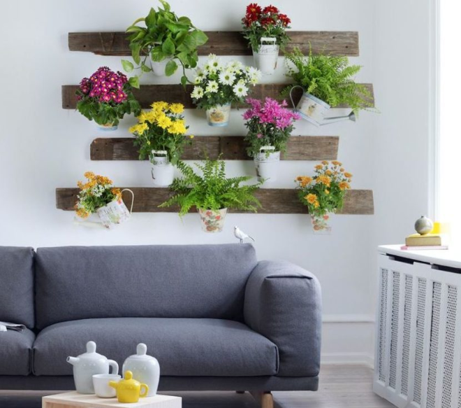 plantes tecnocampus
