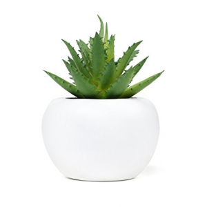 plantes tecnocampus
