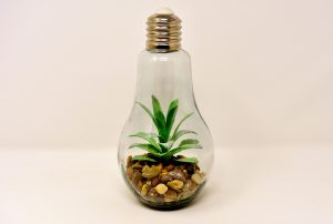 plantes tecnocampus